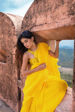 Load image into Gallery viewer, Labelprernamehra-Aria