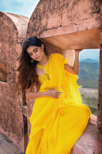 Load image into Gallery viewer, Labelprernamehra-Aria