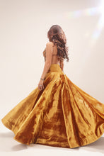 Load image into Gallery viewer, A woman wearing a voluminous golden-yellow velvet ball gown, photographed from behind as she twirls to show the full flare of the skirt against a plain light beige studio background.
